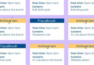 SMM-Schedules